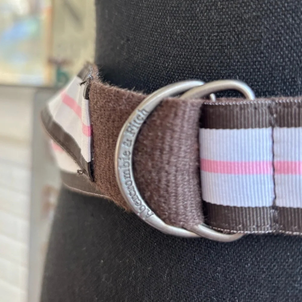 Abercrombie‎ and Fitch Canvas Belt vintage Y2K industrial layered